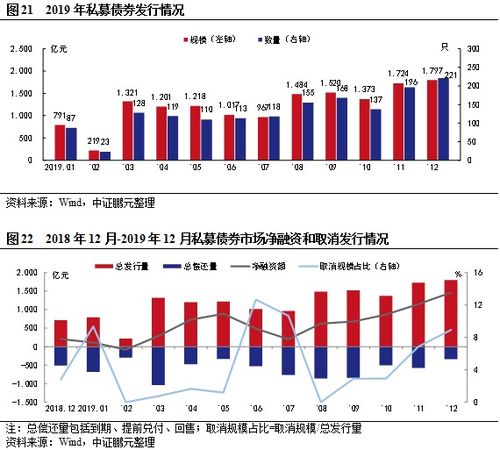 中证鹏元年报 中国债券市场发行统计分析报告