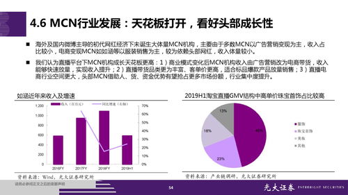 光大证券 直播电商全产业链梳理 成长持续性分析 附下载