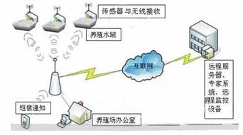 水产养殖环境远程监控系统 石家庄圣启科技